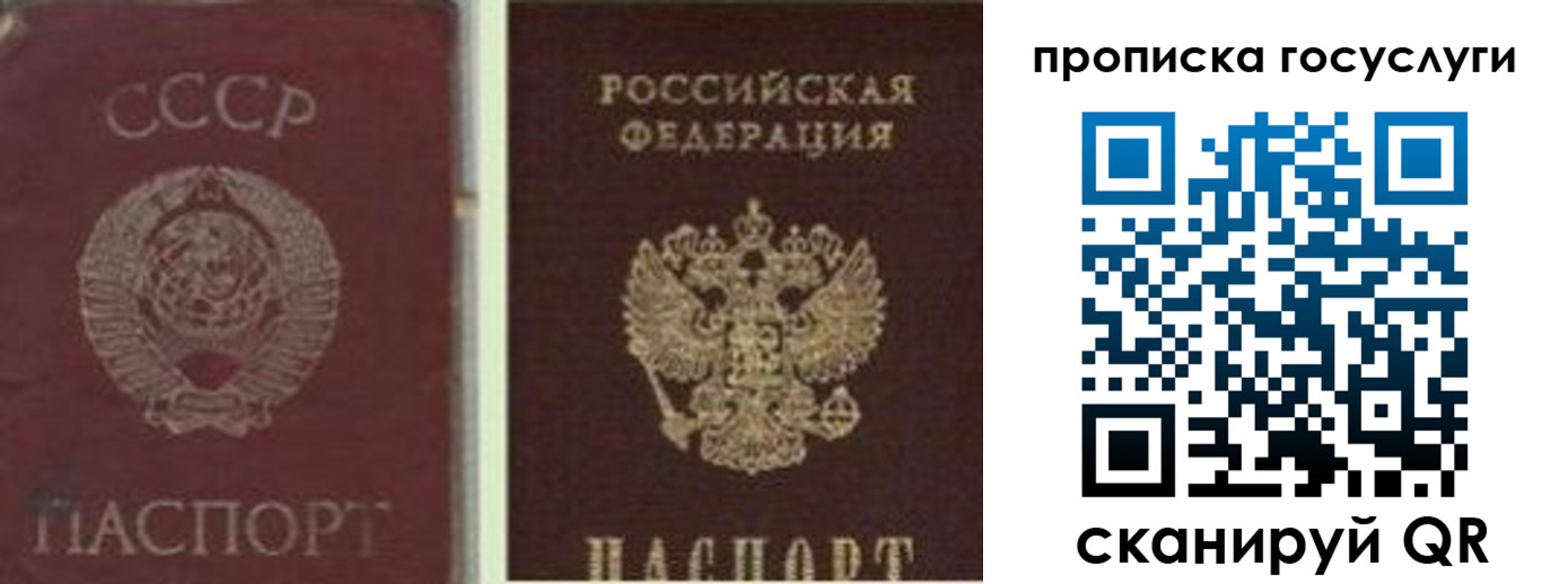 временная регистрация 2025 в Звенигороде